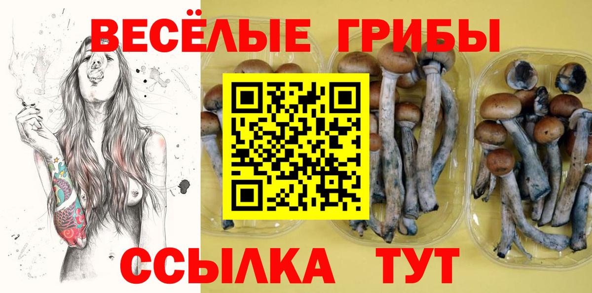 Бутурлиновка  дарнет шоп  Вход с VPN  Галлюциногенные грибы Psilocybine cubensis 