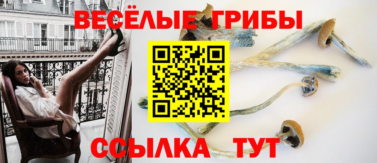 Галлюциногенные грибы MAGIC MUSHROOMS Бутурлиновка